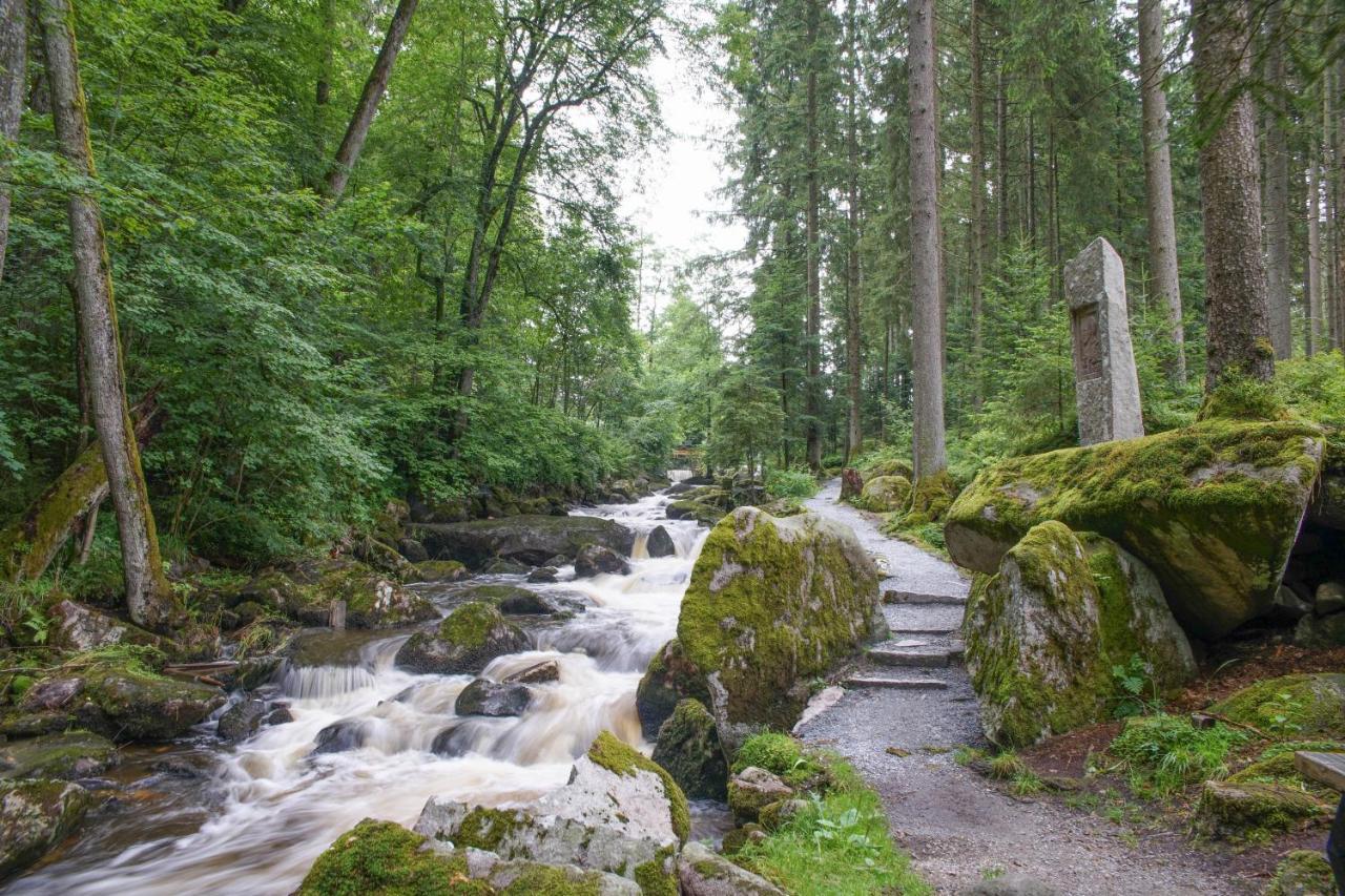 Ferienhaus Nordic Harmony Вальдкирхен Экстерьер фото